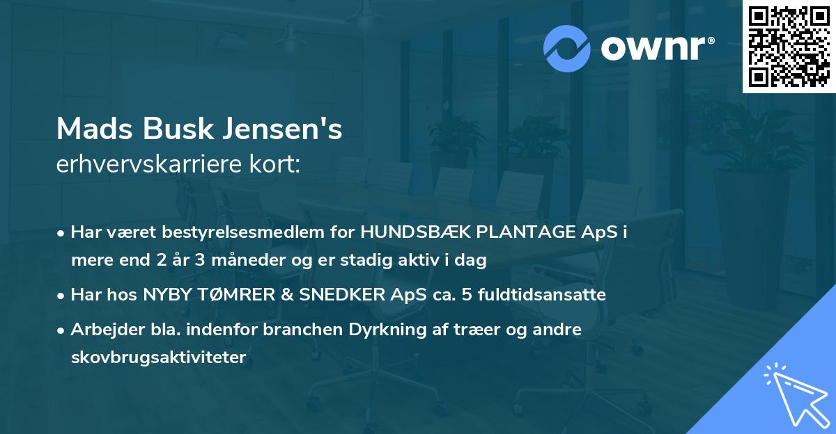 Mads Busk Jensen's erhvervskarriere kort