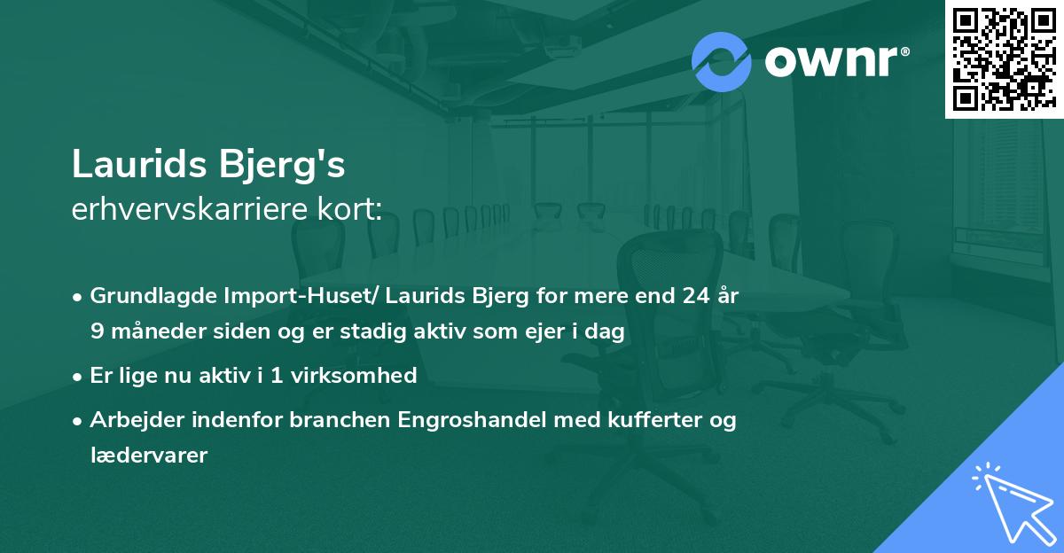 Laurids Bjerg's erhvervskarriere kort