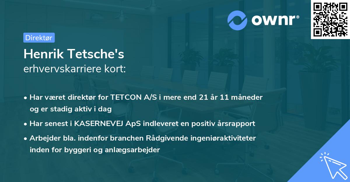 Henrik Tetsche's erhvervskarriere kort