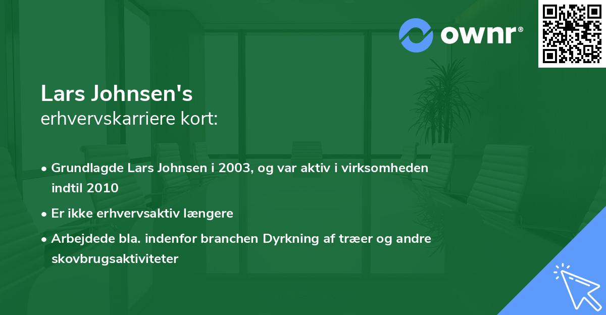 Lars Johnsen's erhvervskarriere kort