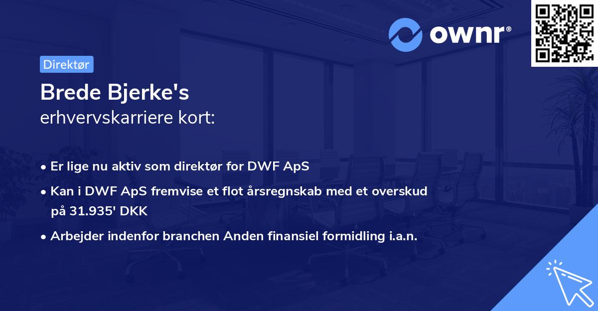 Brede Bjerke's erhvervskarriere kort