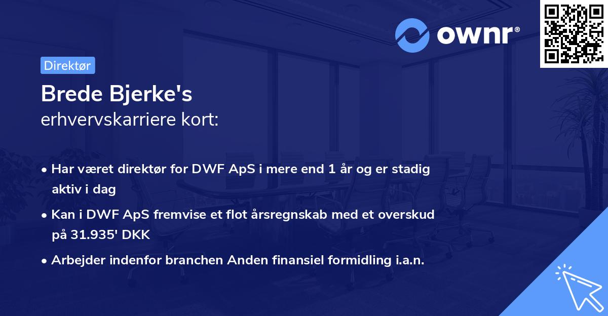 Brede Bjerke's erhvervskarriere kort