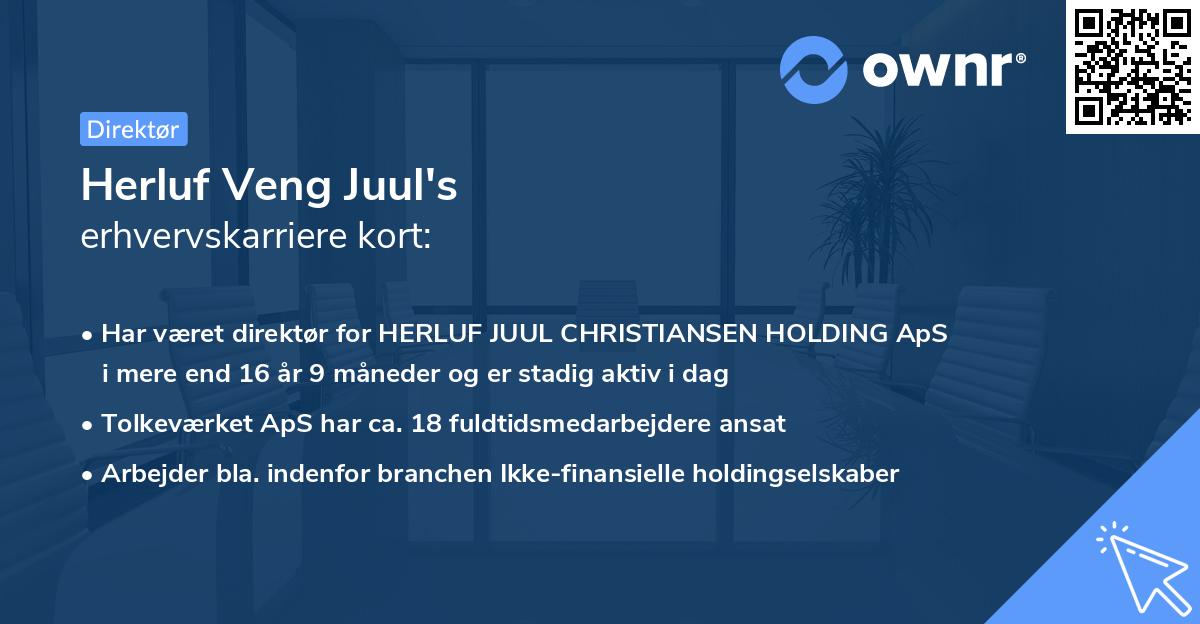 Herluf Veng Juul's erhvervskarriere kort
