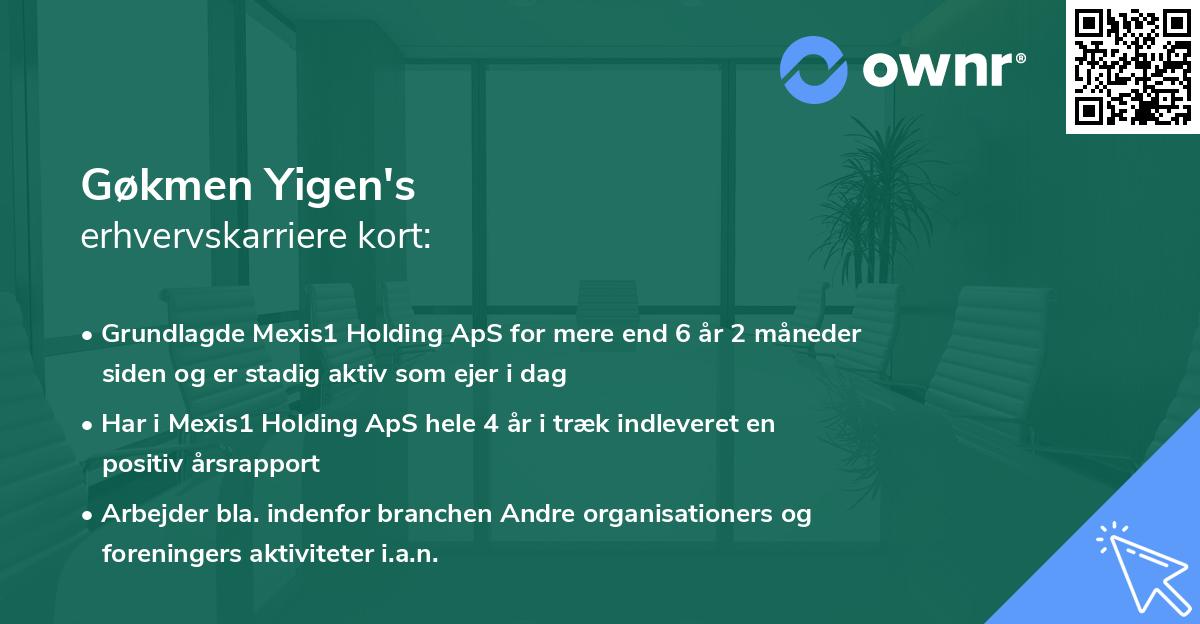 Gøkmen Yigen's erhvervskarriere kort