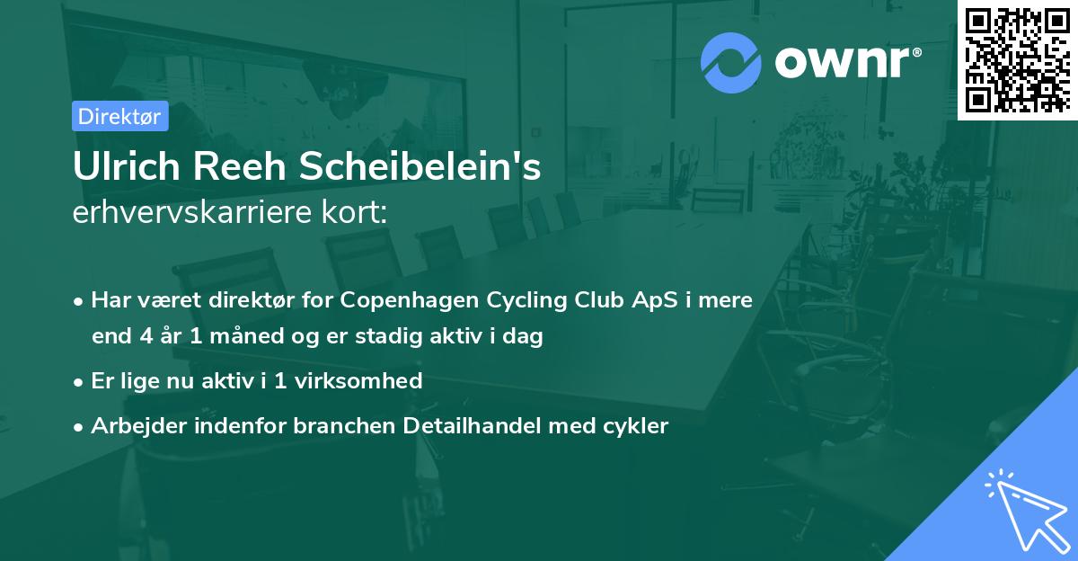Ulrich Reeh Scheibelein's erhvervskarriere kort