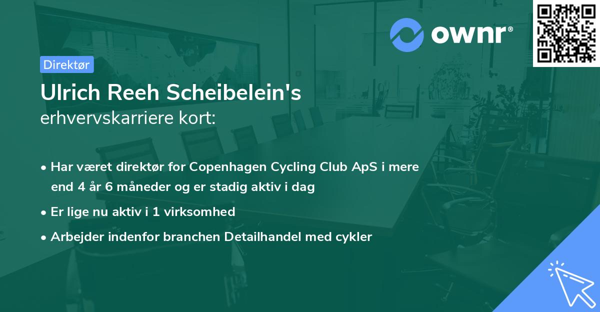 Ulrich Reeh Scheibelein's erhvervskarriere kort