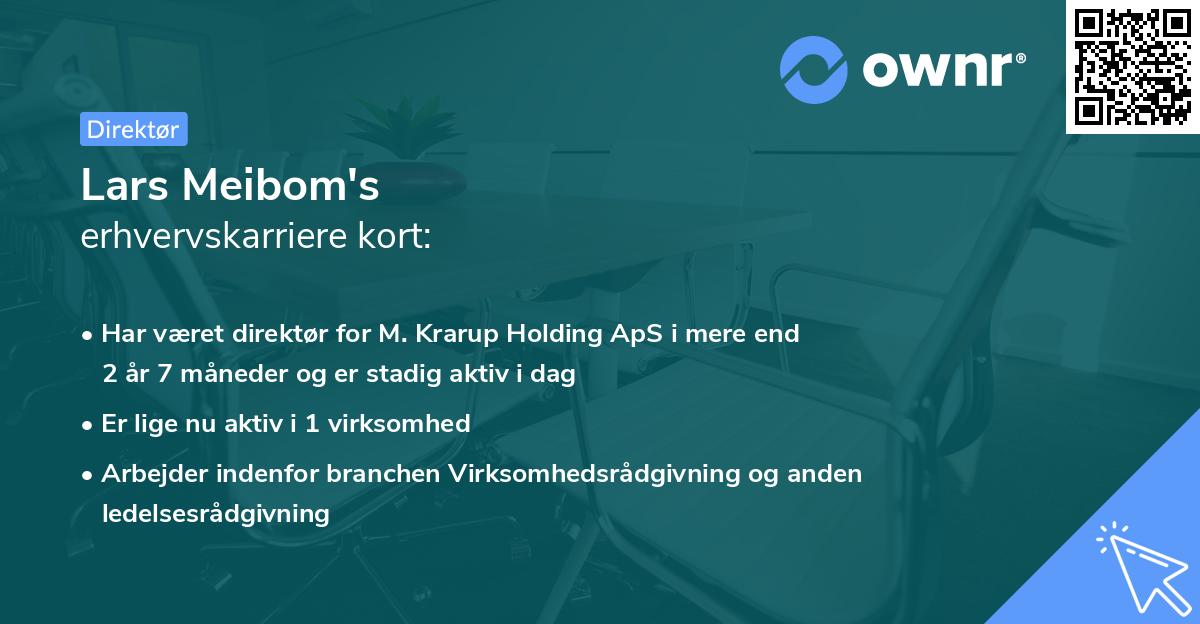 Lars Meibom's erhvervskarriere kort