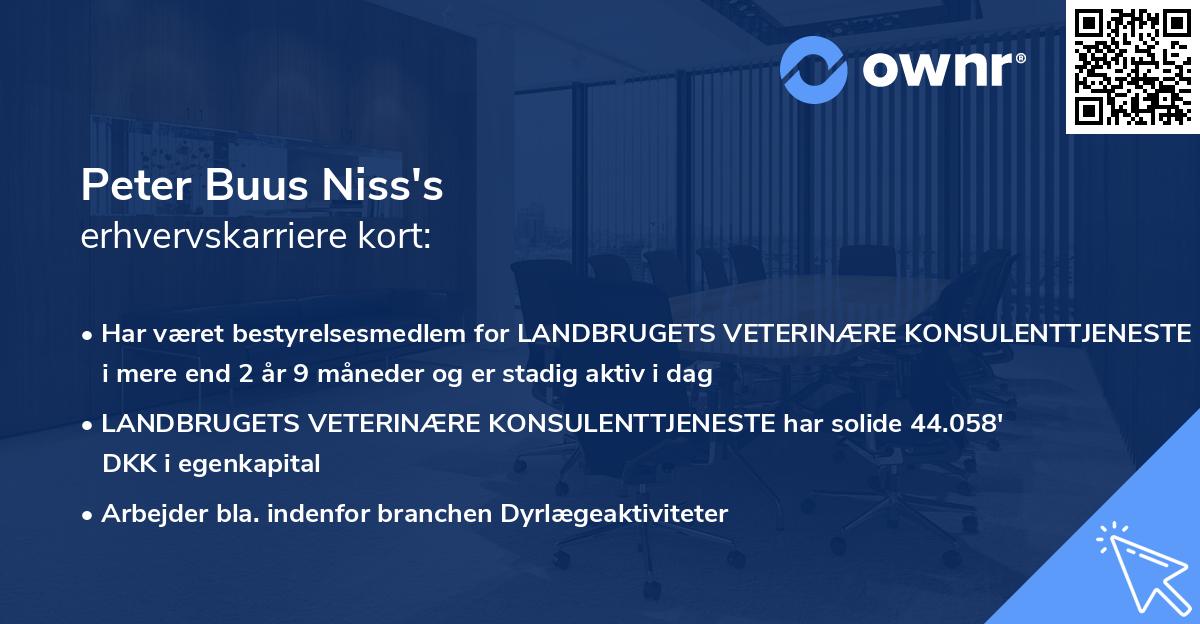 Peter Buus Niss's erhvervskarriere kort