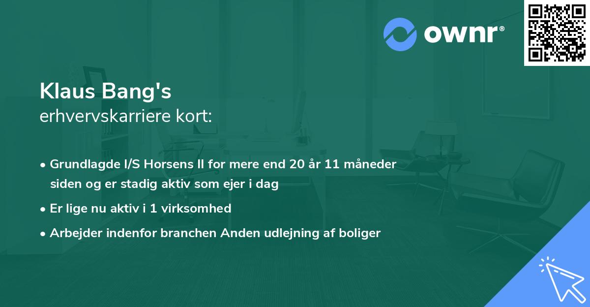 Klaus Bang's erhvervskarriere kort