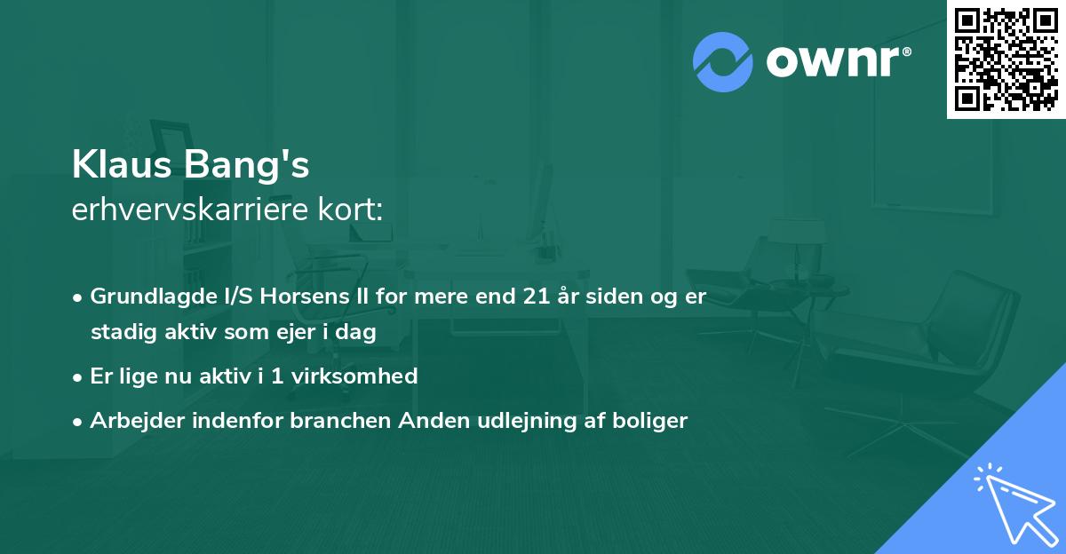 Klaus Bang's erhvervskarriere kort
