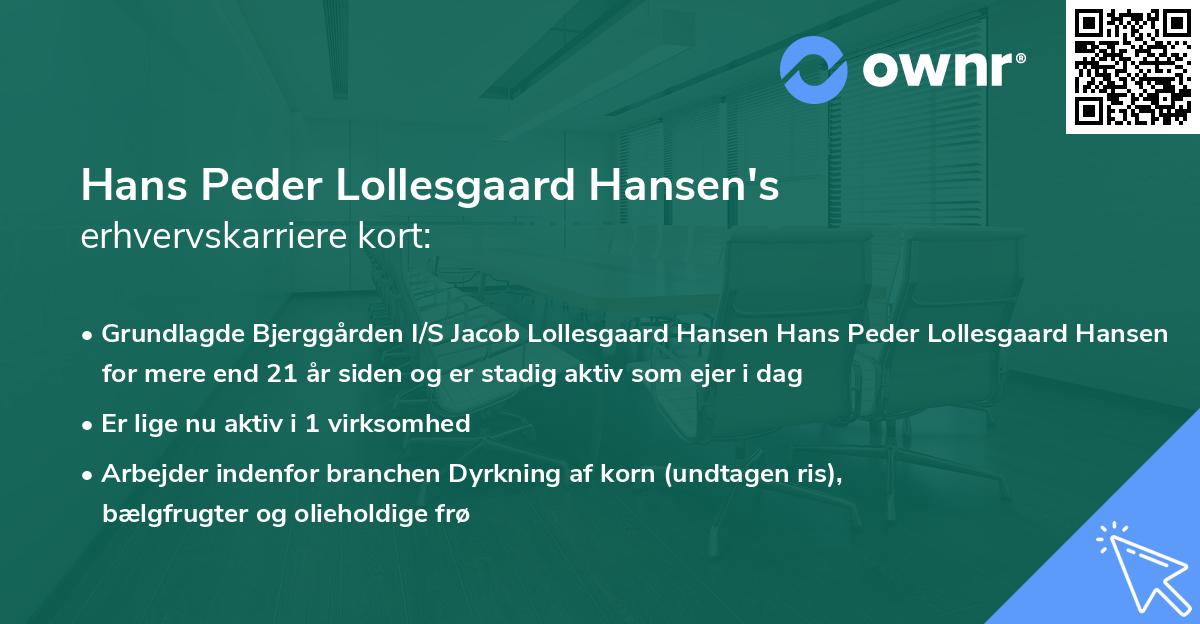 Hans Peder Lollesgaard Hansen's erhvervskarriere kort