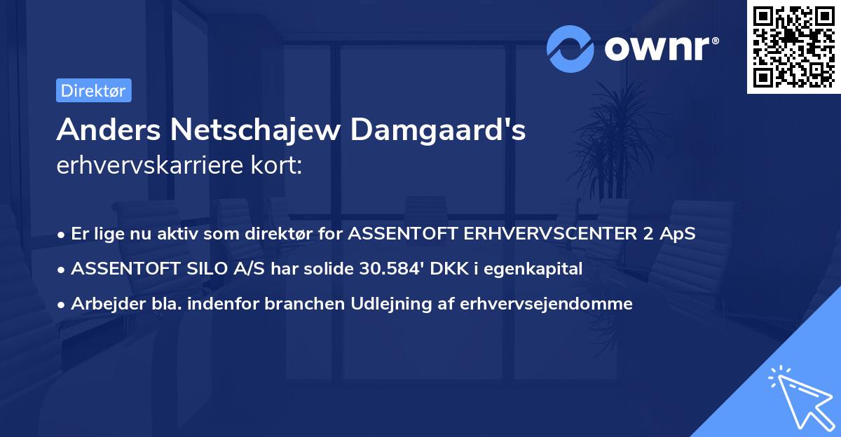 Anders Netschajew Damgaard's erhvervskarriere kort