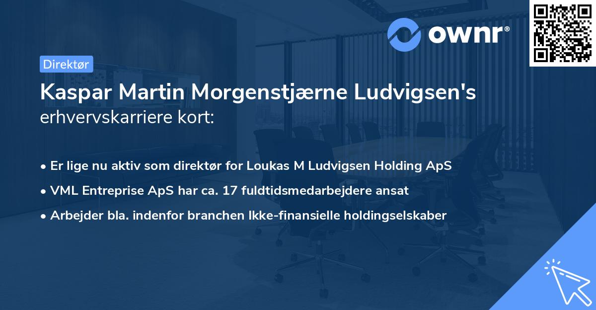Kaspar Martin Morgenstjærne Ludvigsen's erhvervskarriere kort