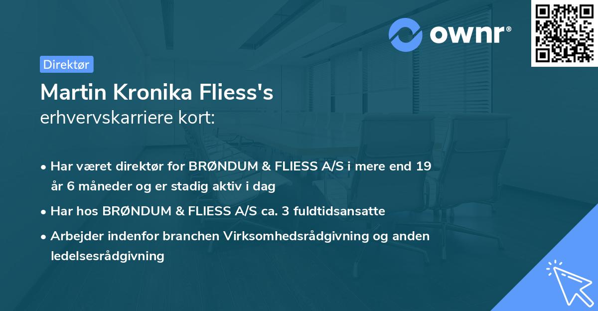 Martin Kronika Fliess's erhvervskarriere kort