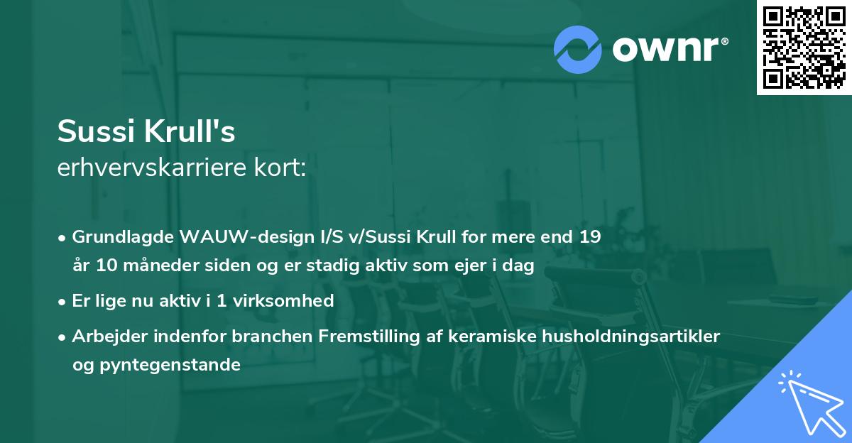 Sussi Krull's erhvervskarriere kort
