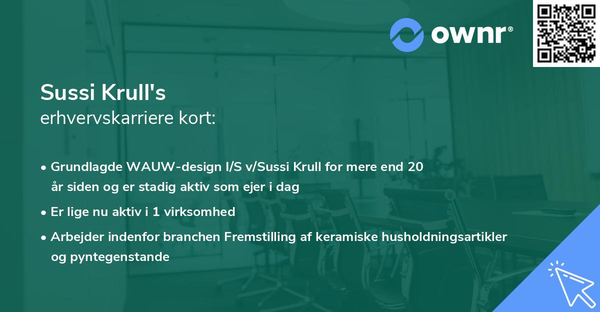 Sussi Krull's erhvervskarriere kort