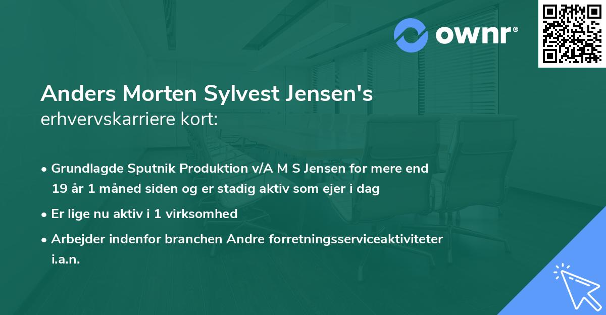 Anders Morten Sylvest Jensen's erhvervskarriere kort