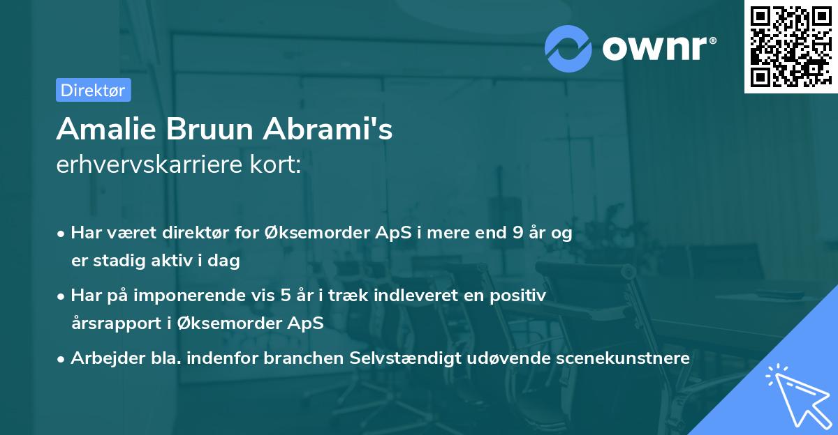 Amalie Bruun Abrami's erhvervskarriere kort