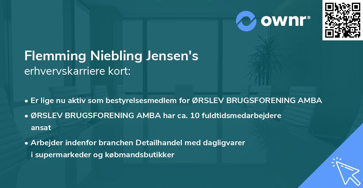Flemming Niebling Jensen's erhvervskarriere kort