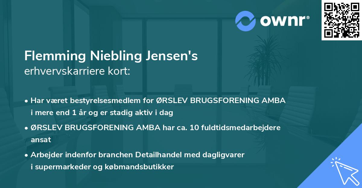 Flemming Niebling Jensen's erhvervskarriere kort