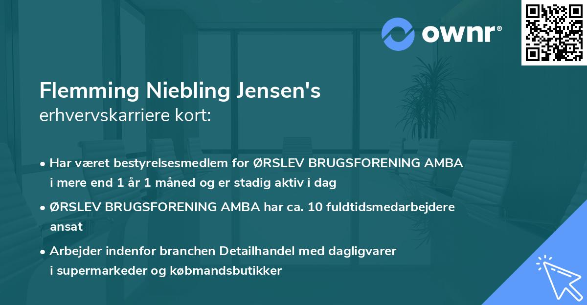 Flemming Niebling Jensen's erhvervskarriere kort
