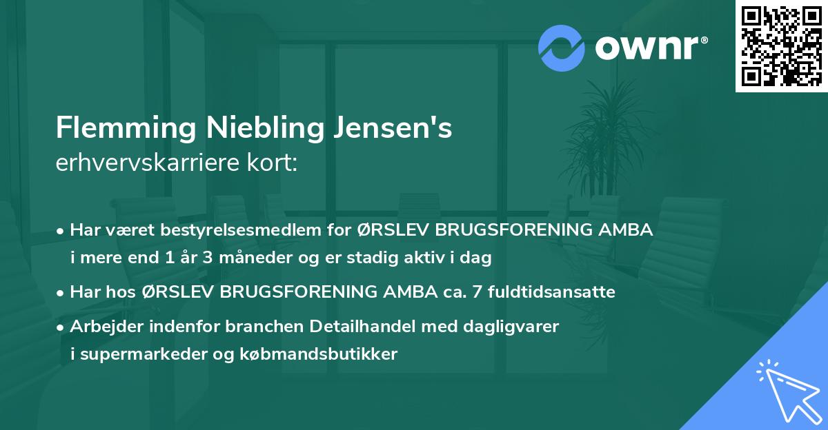 Flemming Niebling Jensen's erhvervskarriere kort