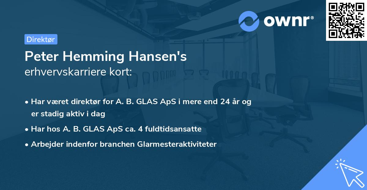 Peter Hemming Hansen's erhvervskarriere kort