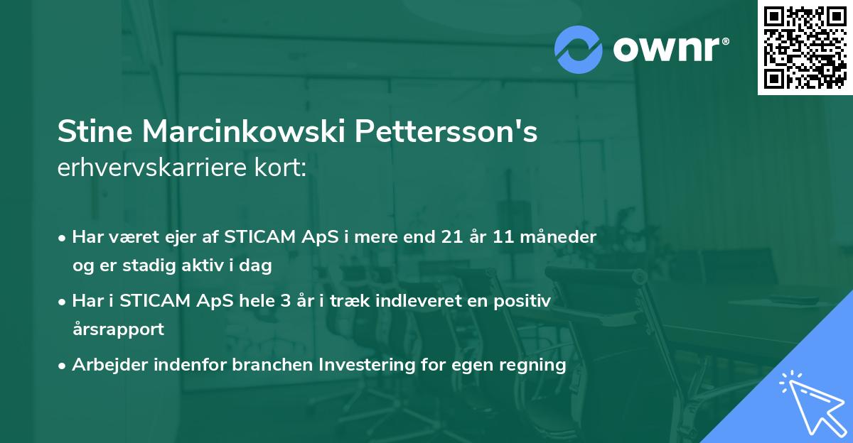 Stine Marcinkowski Pettersson's erhvervskarriere kort