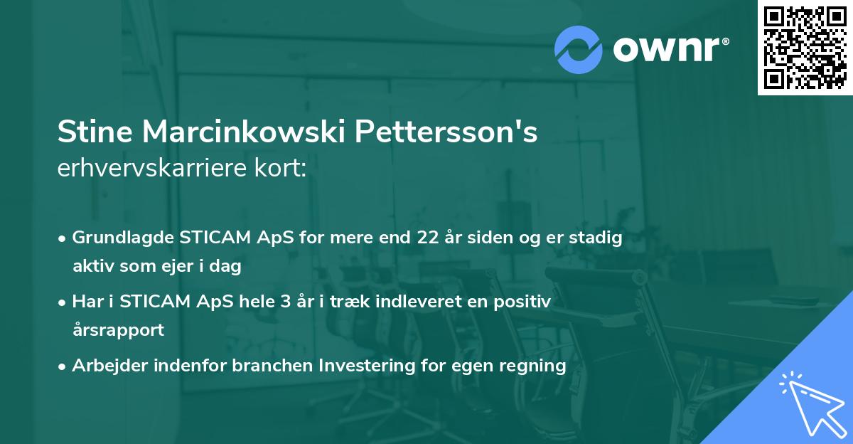 Stine Marcinkowski Pettersson's erhvervskarriere kort