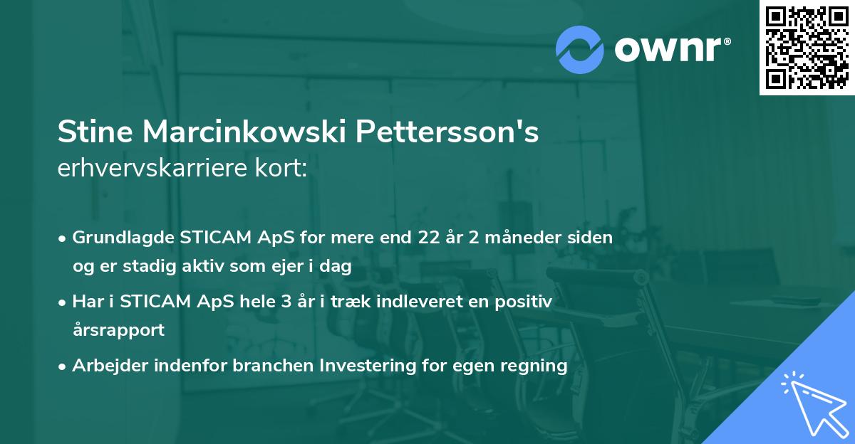 Stine Marcinkowski Pettersson's erhvervskarriere kort