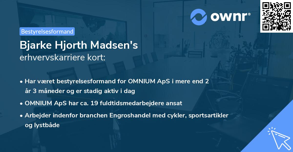 Bjarke Hjorth Madsen's erhvervskarriere kort