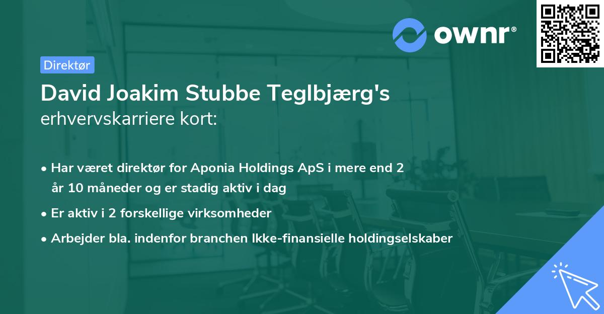 David Joakim Stubbe Teglbjærg's erhvervskarriere kort