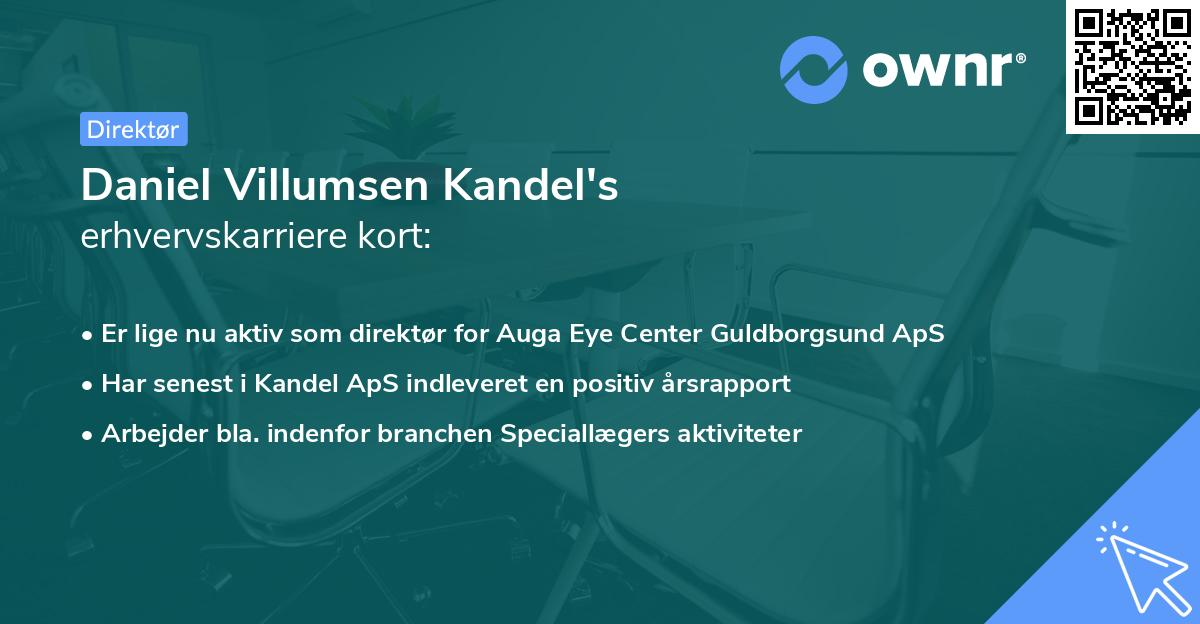 Daniel Villumsen Kandel's erhvervskarriere kort