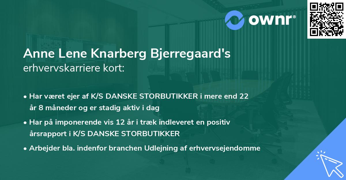 Anne Lene Knarberg Bjerregaard's erhvervskarriere kort