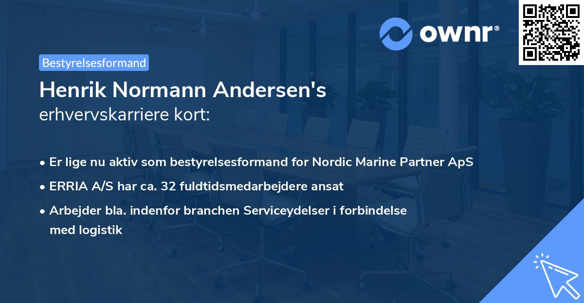 Henrik Normann Andersen's erhvervskarriere kort