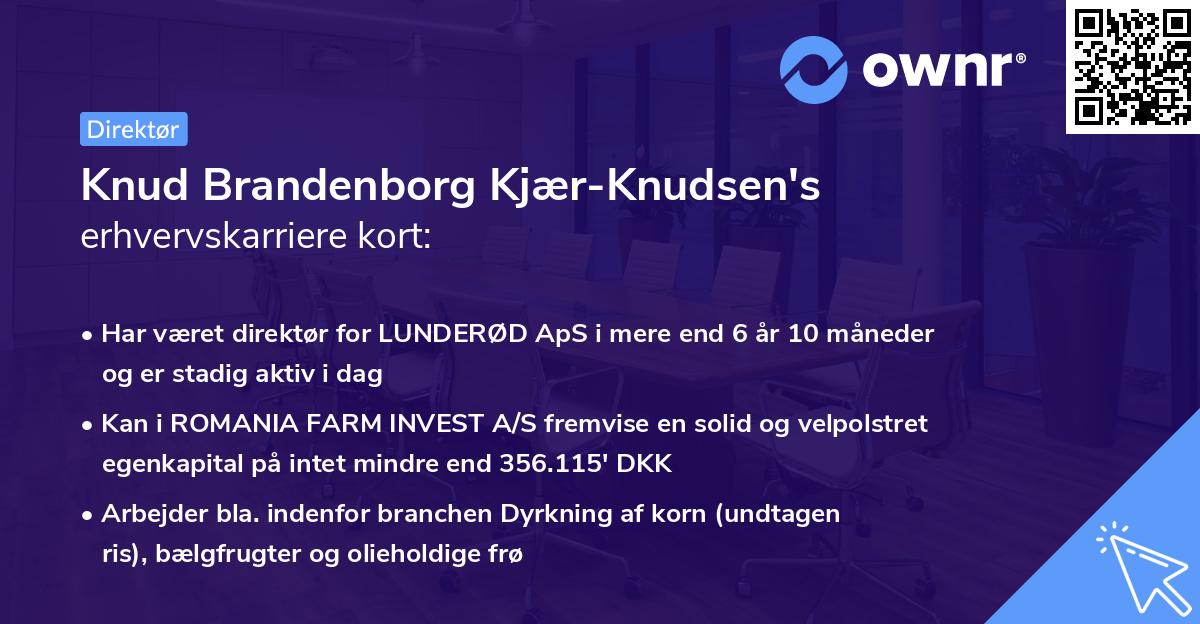 Knud Brandenborg Kjær-Knudsen's erhvervskarriere kort