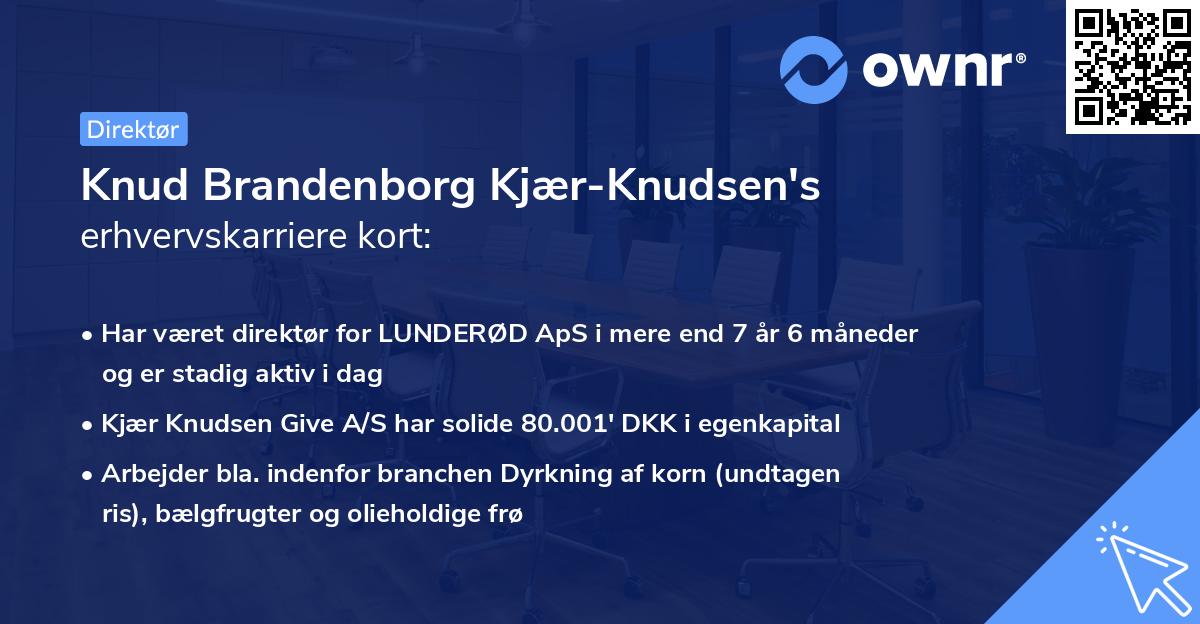 Knud Brandenborg Kjær-Knudsen's erhvervskarriere kort