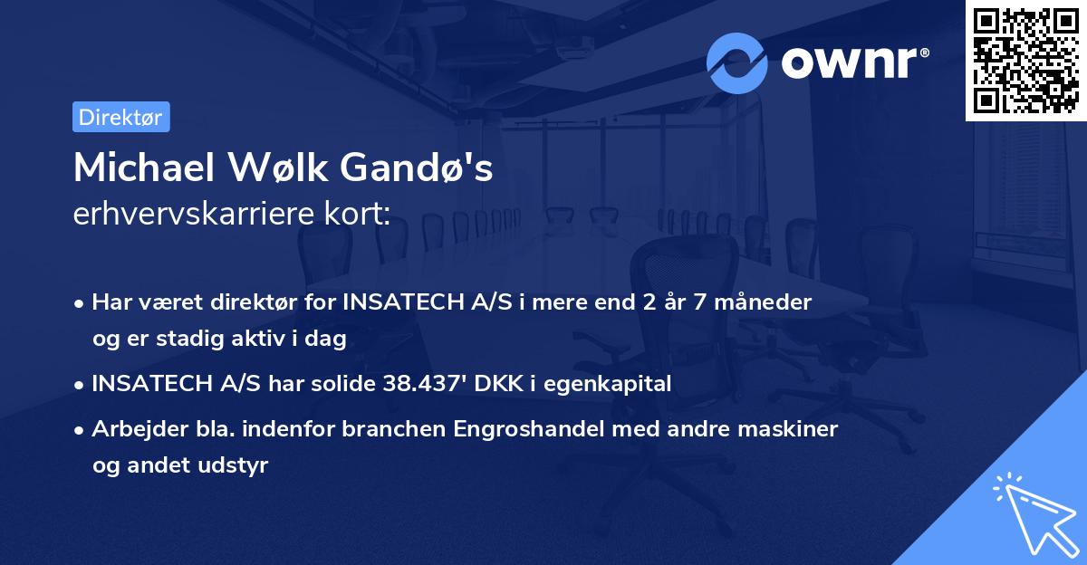 Michael Wølk Gandø's erhvervskarriere kort