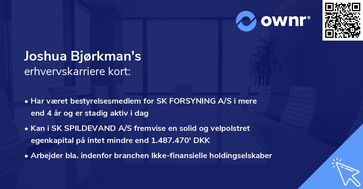 Joshua Bjørkman's erhvervskarriere kort