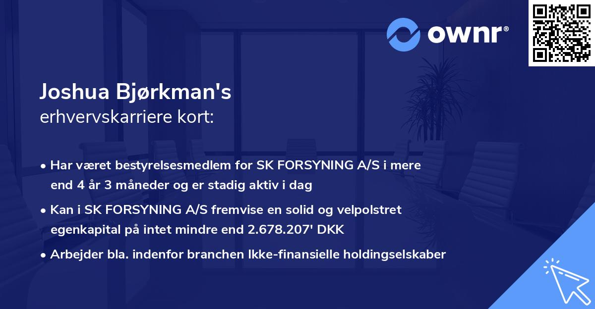 Joshua Bjørkman's erhvervskarriere kort