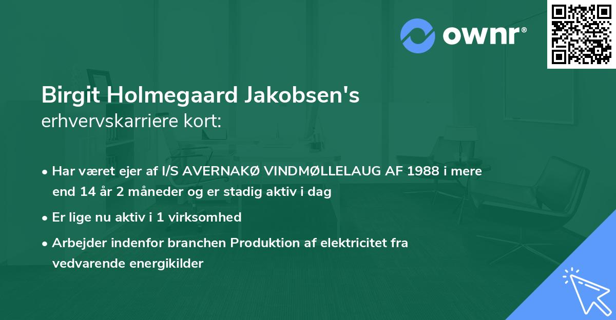 Birgit Holmegaard Jakobsen's erhvervskarriere kort