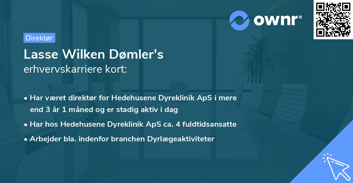 Lasse Wilken Dømler's erhvervskarriere kort