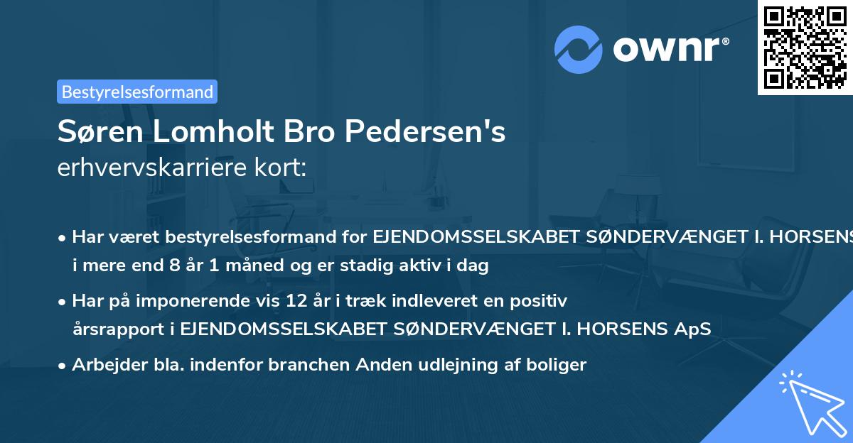 Søren Lomholt Bro Pedersen's erhvervskarriere kort