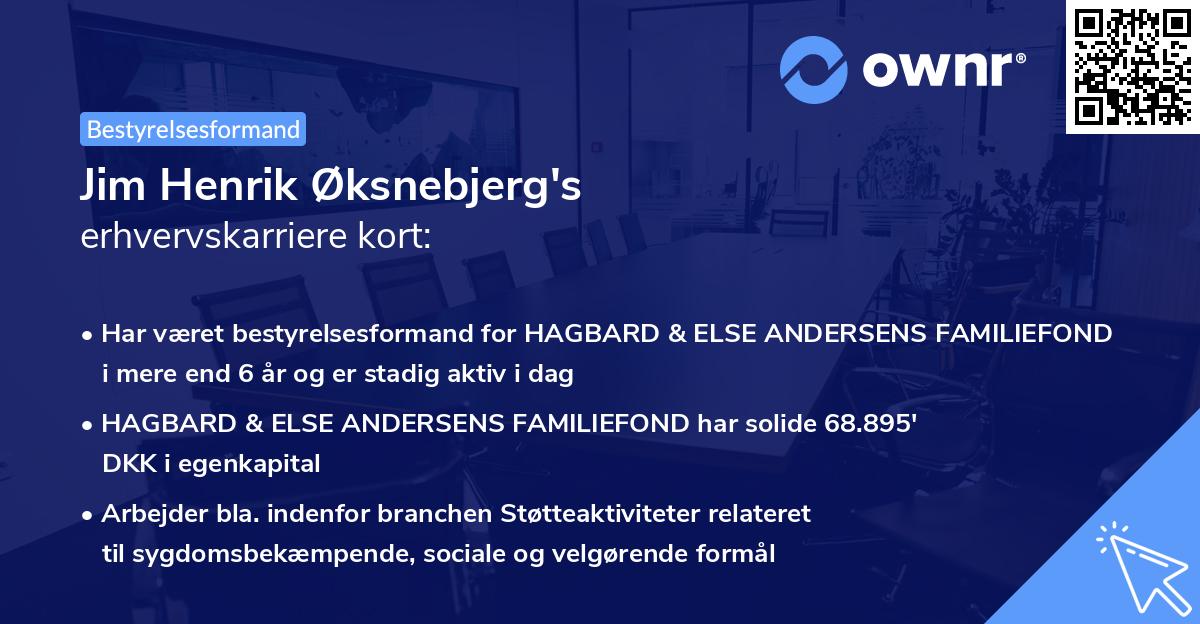 Jim Henrik Øksnebjerg's erhvervskarriere kort
