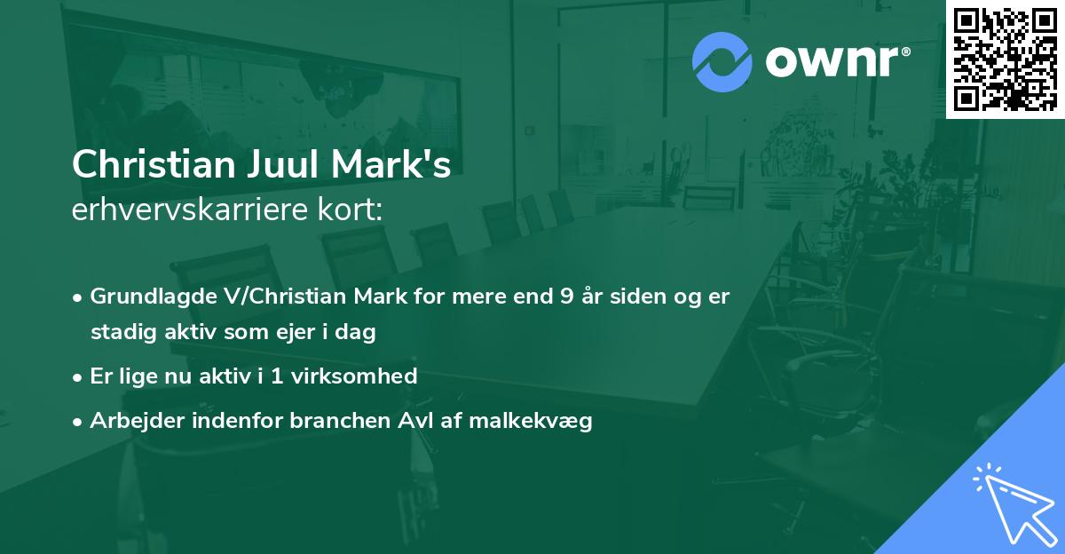 Christian Juul Mark's erhvervskarriere kort