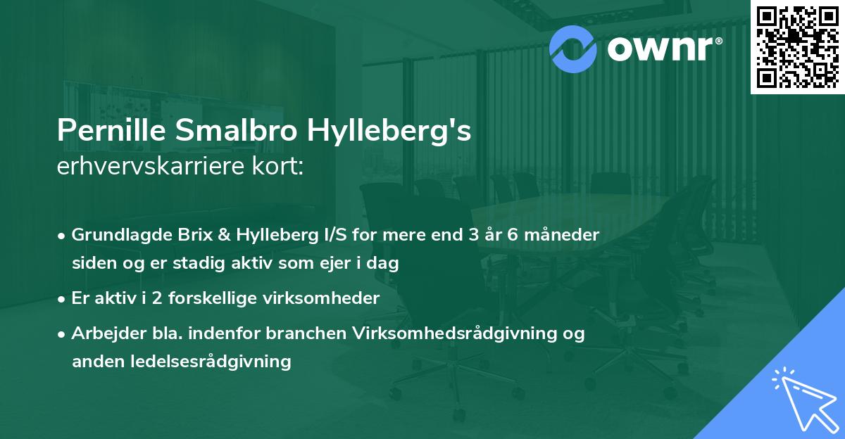 Pernille Smalbro Hylleberg's erhvervskarriere kort