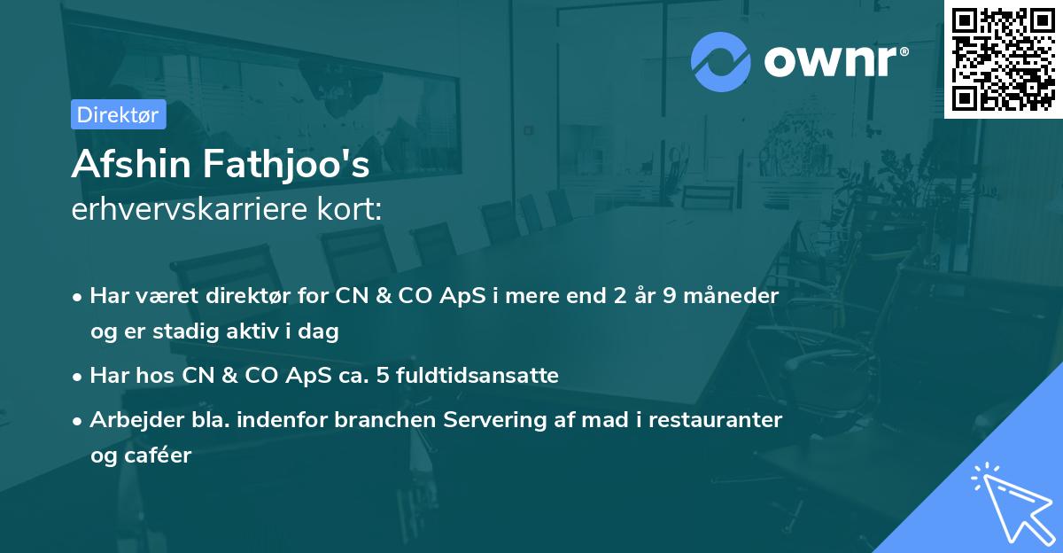 Afshin Fathjoo's erhvervskarriere kort