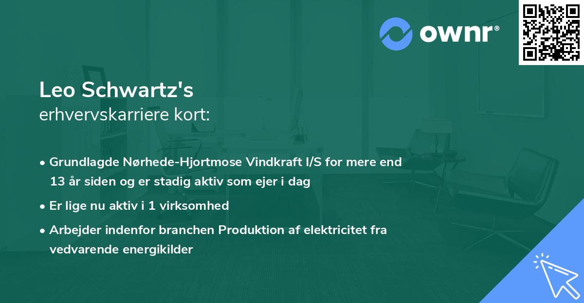 Leo Schwartz's erhvervskarriere kort