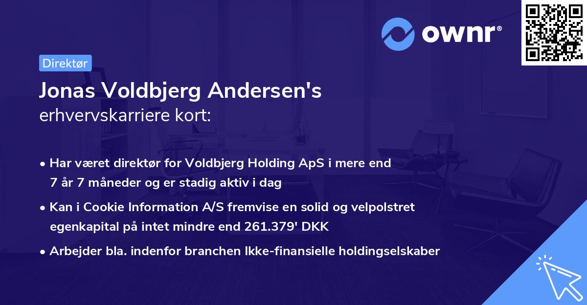 Jonas Voldbjerg Andersen's erhvervskarriere kort