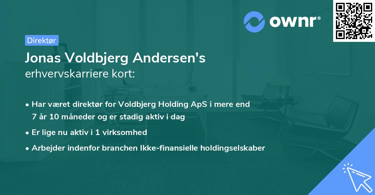 Jonas Voldbjerg Andersen's erhvervskarriere kort